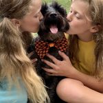Pumpkin-bow-tie