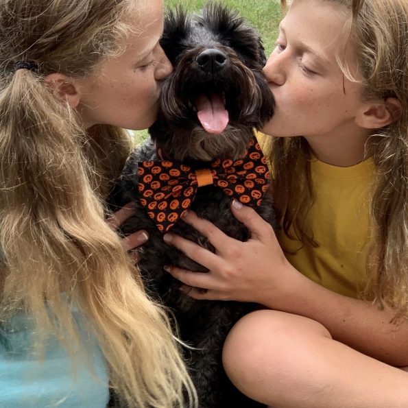 BusterPumpkinBowtie_1