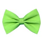Green-Bow-Tie
