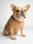 Tot Thot Dog Sweater