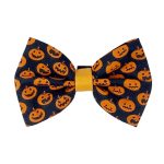 Pet Bow Tie - Jack O' Lantern