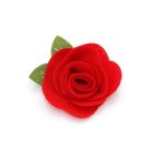 pet-flower-fuchsia_190dc6f6-5abb-4dde-bc92-ddc3843bd758